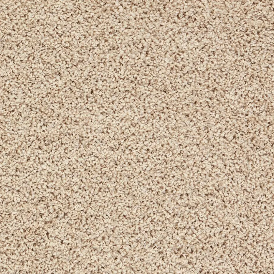 Staal Tapijt Anamosa Beige