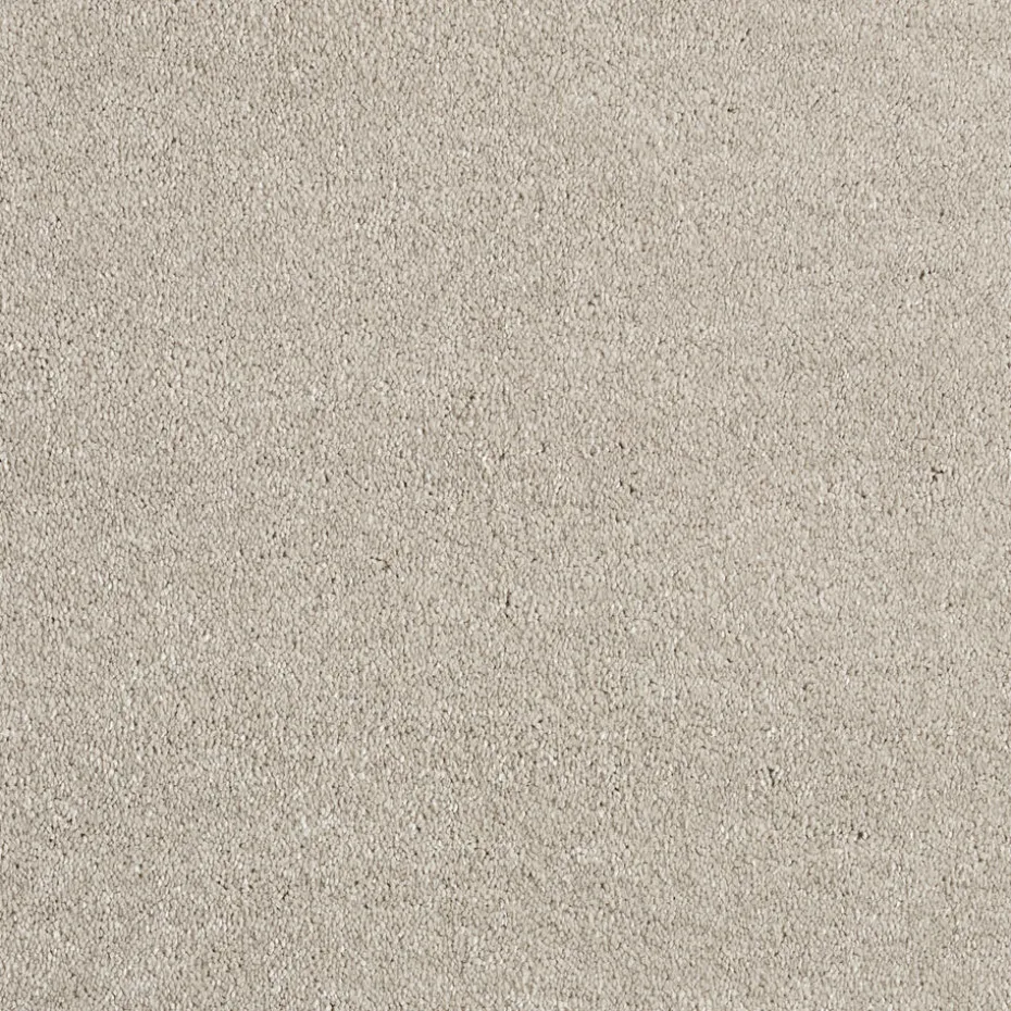 Staal Tapijt Canora Beige