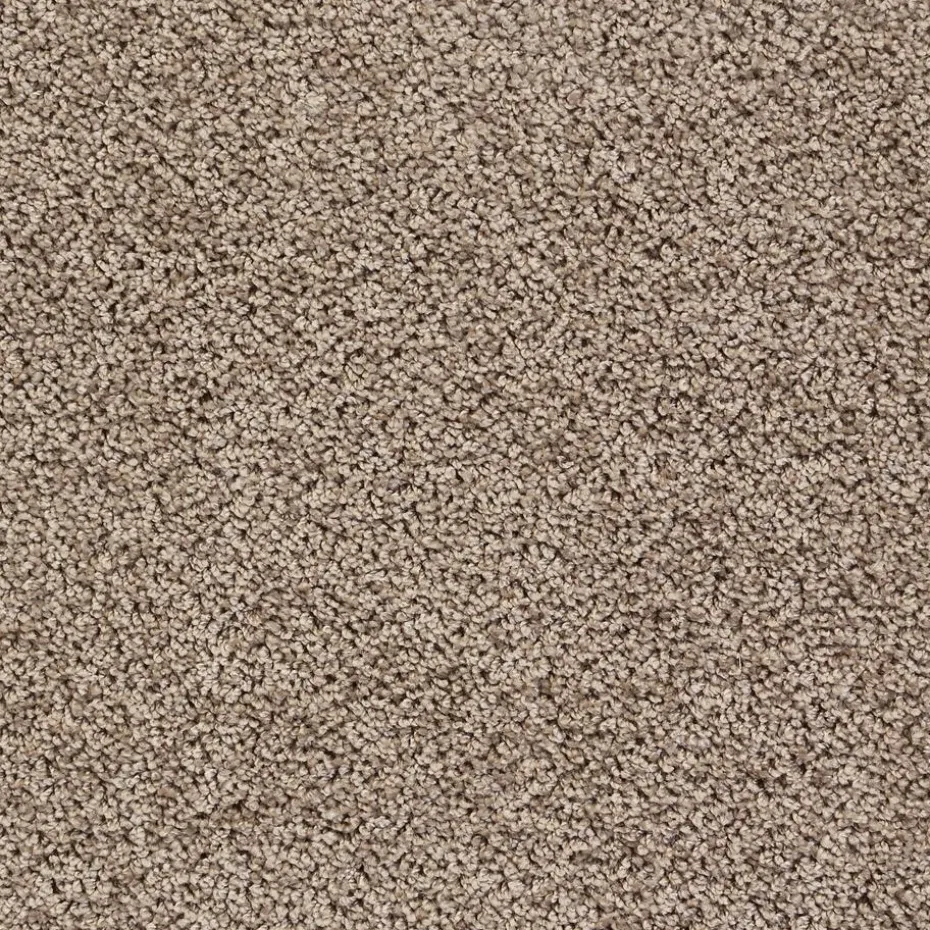 Staal Tapijt Marvell Taupe